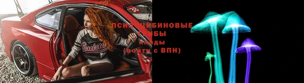 крисы Алексеевка