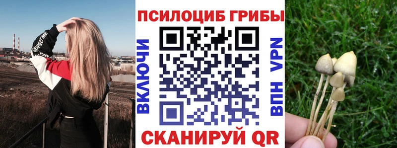 Галлюциногенные грибы Cubensis  Лахденпохья 